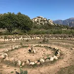 Valinco San Martinu Corse Du Sud - Vue Et Proche - Piscines-7 * Ольмето