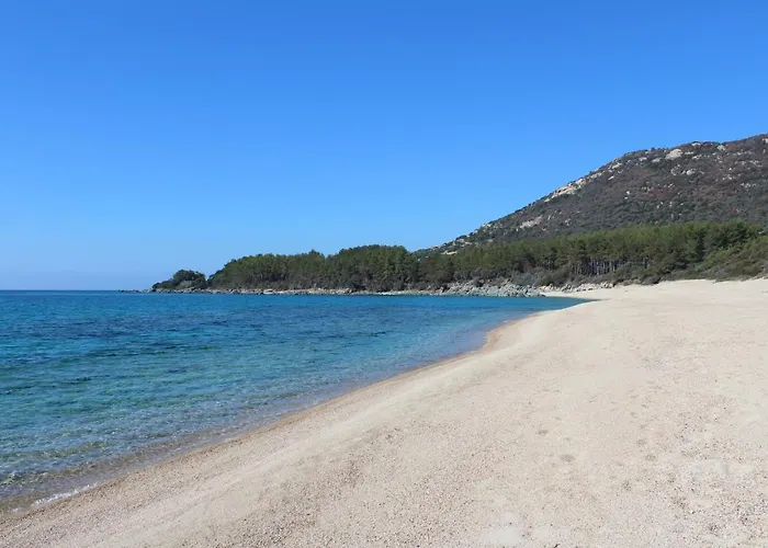 Valinco San Martinu Corse Du Sud - Vue Et Proche - Piscines-7 Villa Olmeto (Corsica)