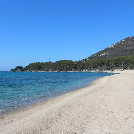 Valinco San Martinu Corse Du Sud - Vue Et Proche - Piscines-7 Villa Olmeto (Corsica)