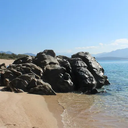 Valinco San Martinu Corse Du Sud - Vue Et Proche - Piscines-7 *