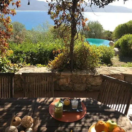 Βίλα Valinco San Martinu Corse Du Sud - Vue Et Proche - Piscines-7 *