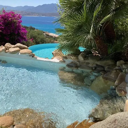 Valinco San Martinu Corse Du Sud - Vue Et Proche - Piscines-7 * Olmeto (Corsica)