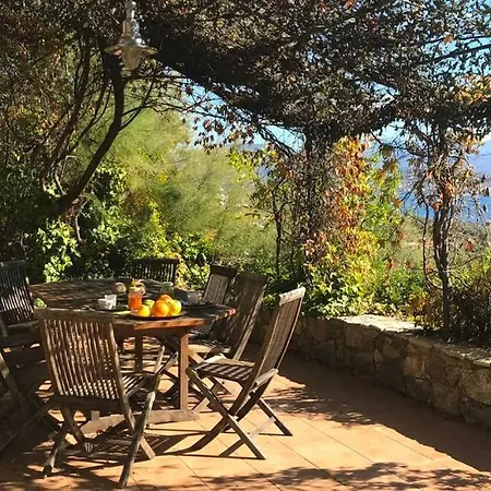 Βίλα Valinco San Martinu Corse Du Sud - Vue Et Proche - Piscines-7 *