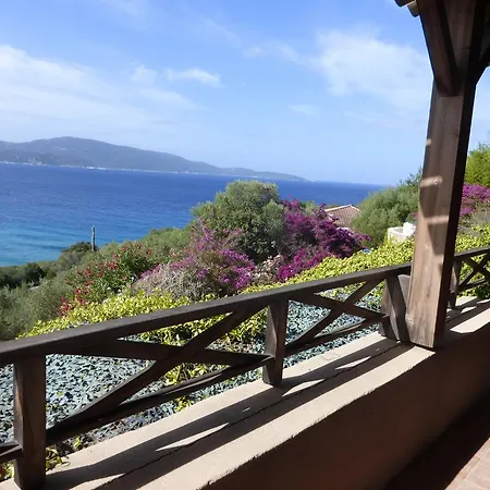 Valinco San Martinu Corse Du Sud - Vue Et Proche - Piscines-7