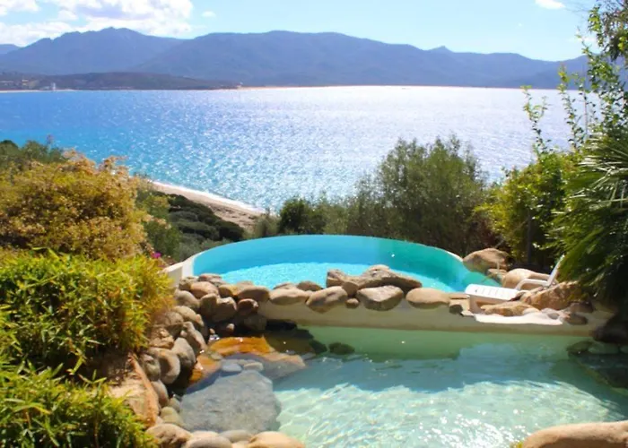 Villa Valinco San Martinu Corse Du Sud - Vue Et Proche - Piscines-7