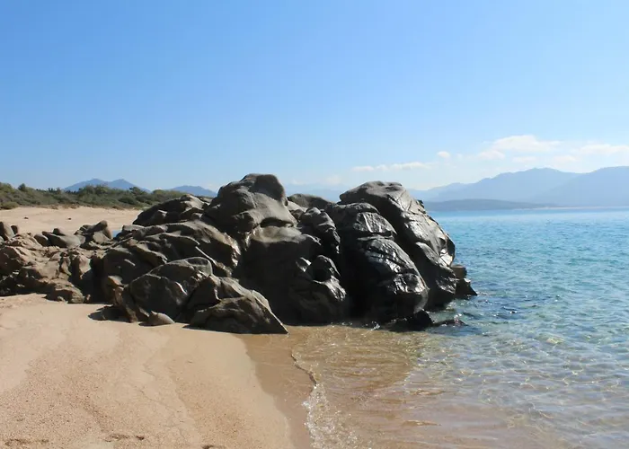 Valinco San Martinu Corse Du Sud - Vue Et Proche - Piscines-7 *