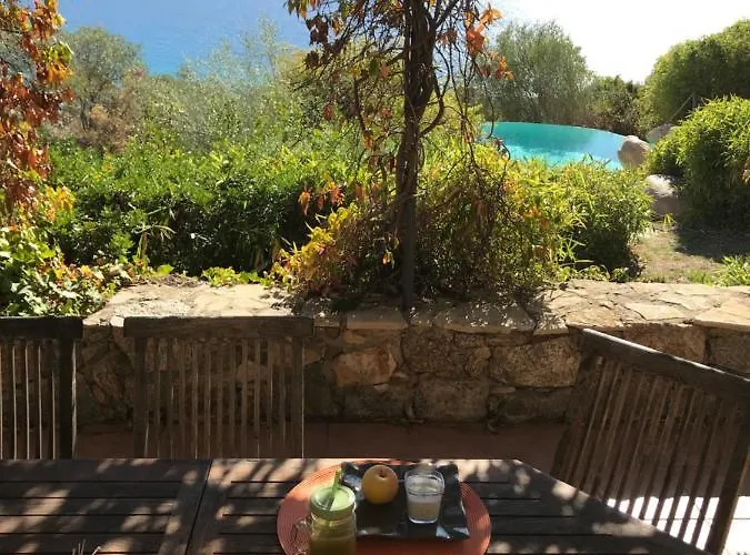 Βίλα Valinco San Martinu Corse Du Sud - Vue Et Proche - Piscines-7 *
