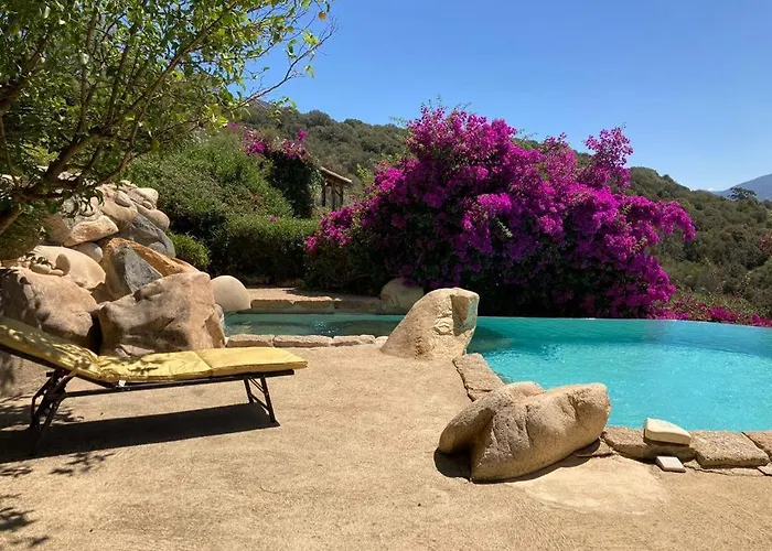 Valinco San Martinu Corse Du Sud - Vue Et Proche - Piscines-7
